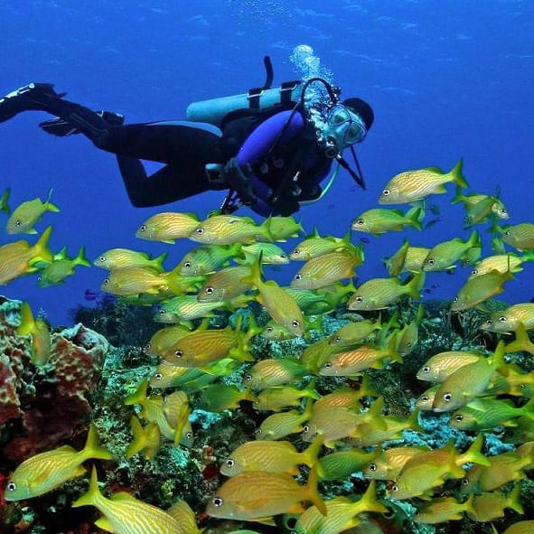 Buceo en Cozumel
